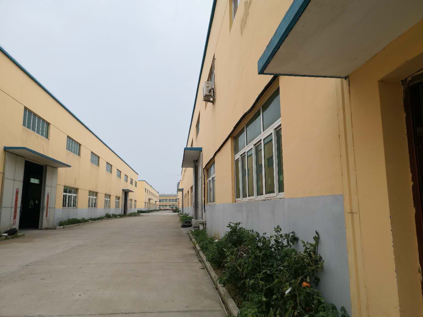 厂房车间